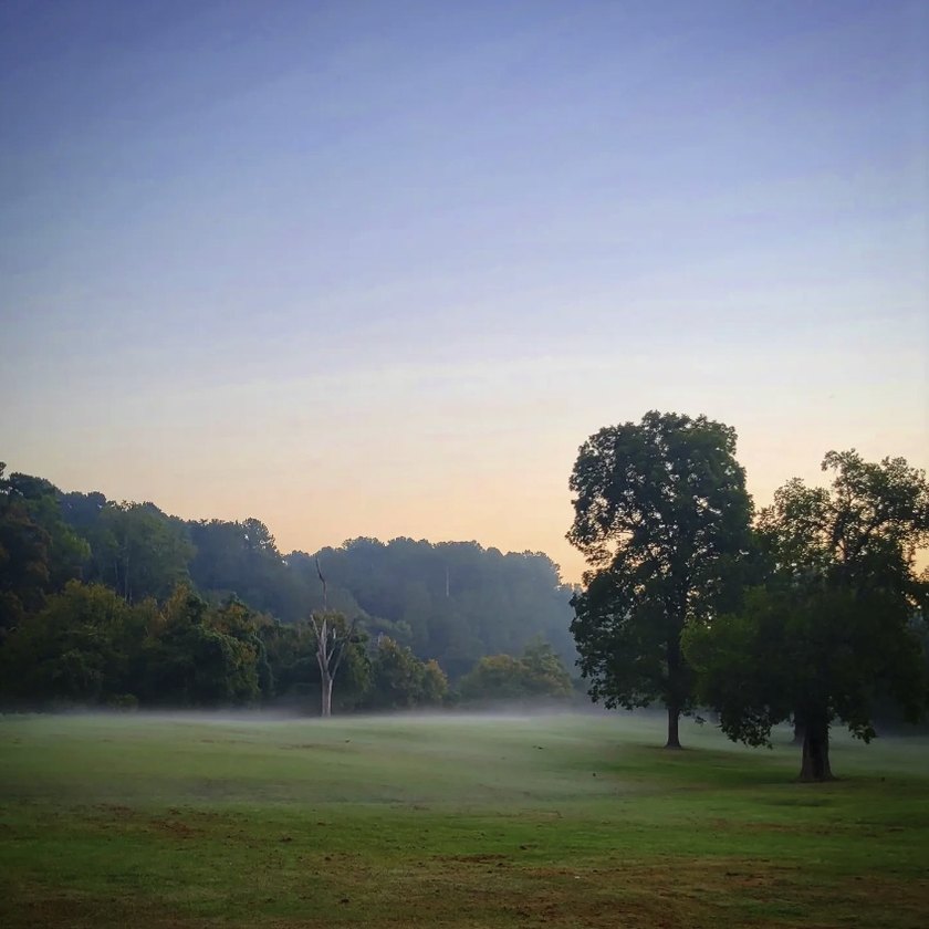 Low fog lying across an open field at dawn, two large trees standing on the right, a wooded ridge behind them, and the sky going from orange near the treeline to blue above.