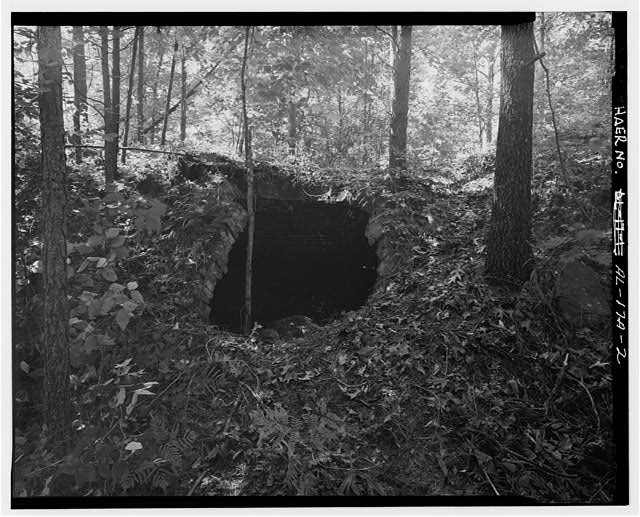 The collapsed brick mouth of a coke oven in second growth woods, its arch half buried under leaf litter and vines, with bare tree trunks standing in front of it.